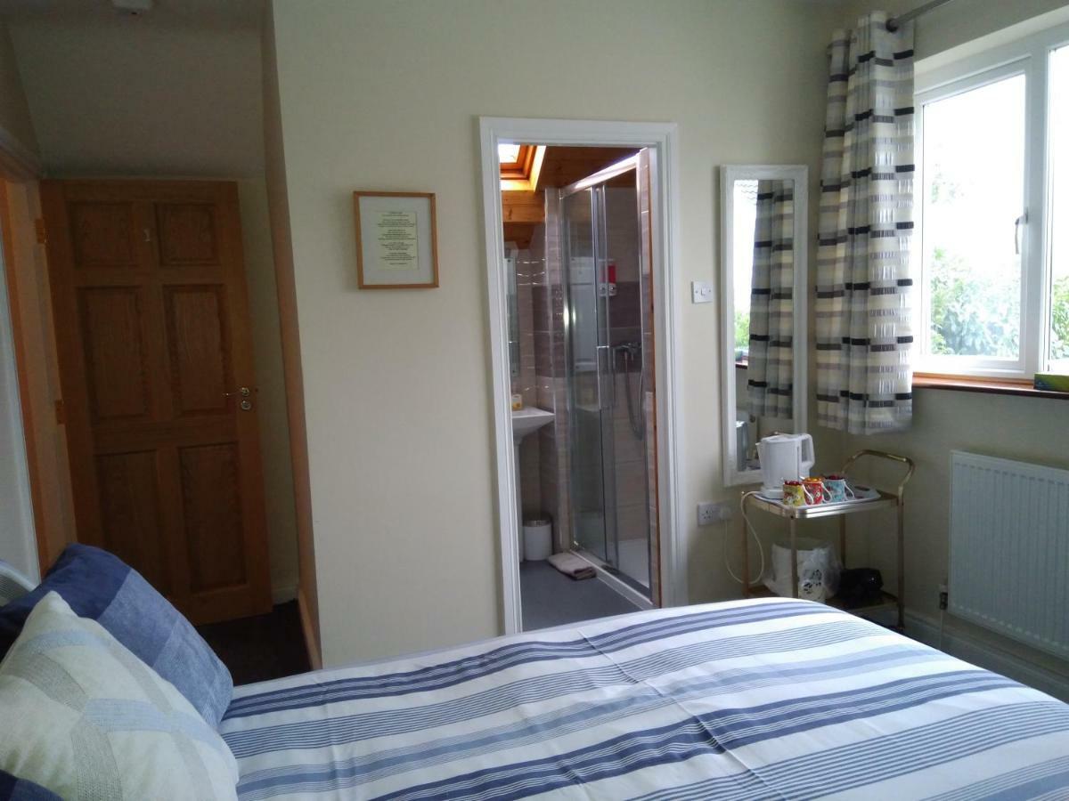 Twin Oaks Bed & Breakfast Килкенни Экстерьер фото